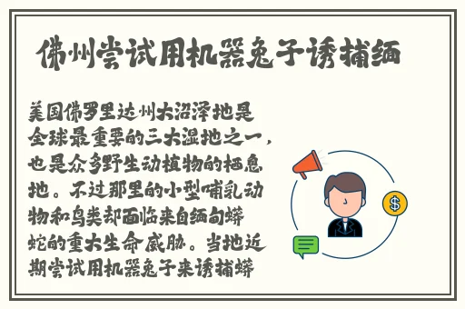 swag传媒免费